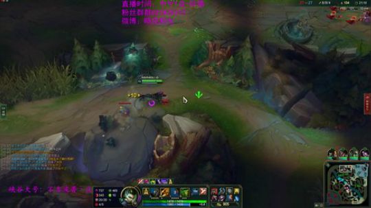 豹女：我是就这个野区的霸主 2019-03-15 18点场