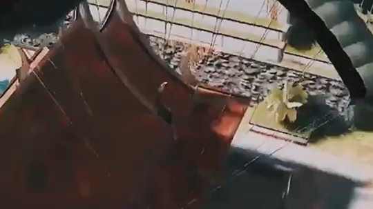 哈斯（黑皮）就很耐斯