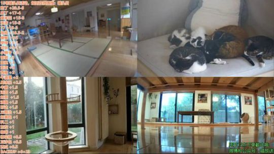 HHHISHHH发布了一个斗鱼视频2019-03-15