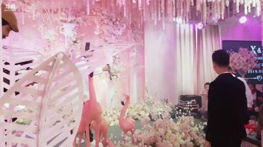 Smlia丶卡布奇诺发布了一个斗鱼视频2019-03-16