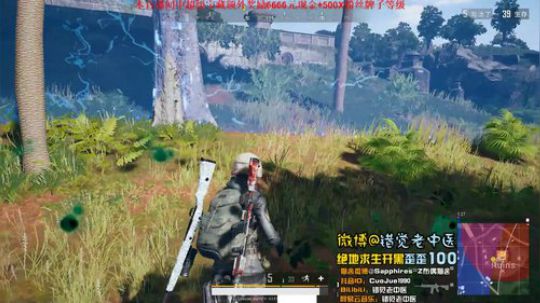 【错觉老中医】单排10杀吃鸡