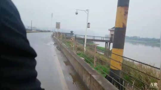 龙马精神之神笔马龙发布了一个斗鱼视频2019-03-17