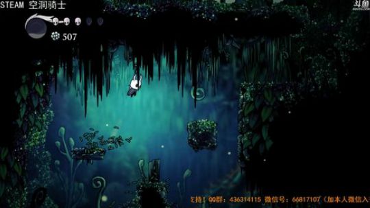 【津门坤哲】空洞骑士萌新开荒 2019-03-17 00点场