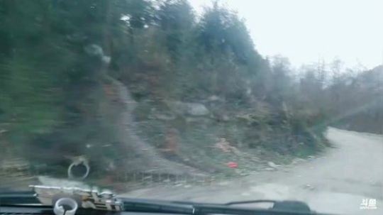 老乡不吃鸡鸭鱼(≧ω≦)/ 2019-03-17 18点场