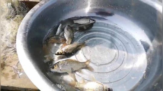 龙马精神之神笔马龙发布了一个斗鱼视频2019-03-18