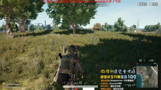【错觉老中医】双排10杀暴力吃鸡！