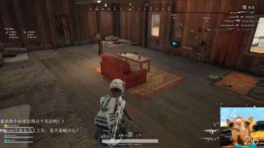 科科