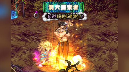 蓝拳5分40单人组队鸟背