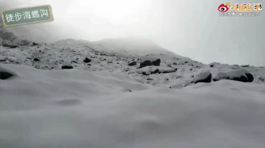 在准备《变形记》，晚点开播！ 2019-03-20 12点场