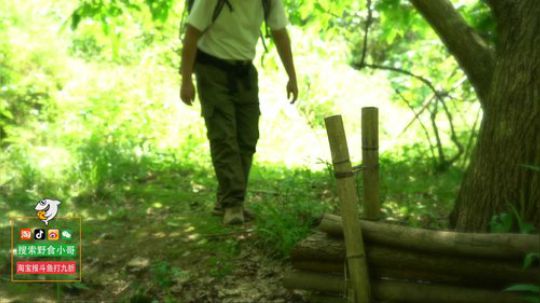 我本善良72发布了一个斗鱼视频2019-03-21