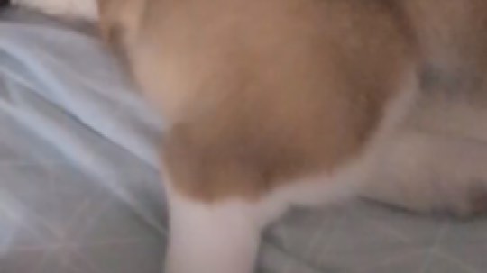 好嗨哟