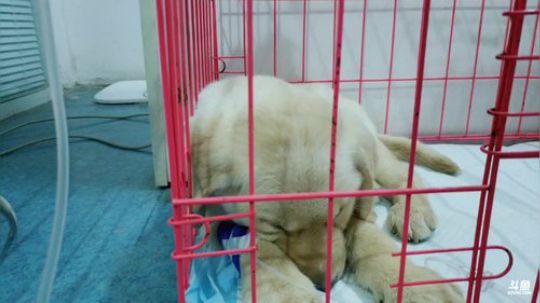 回到武汉了 2019-03-21 19点场