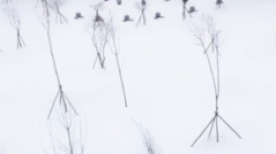 下雪啦[石化]
这要闹哪出啊？