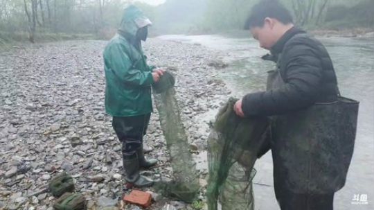龙马精神之神笔马龙发布了一个斗鱼视频2019-03-21
