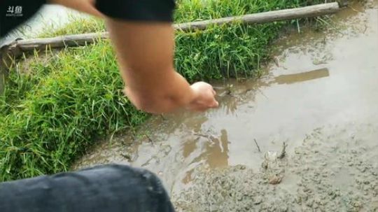 丿Good丶发布了一个斗鱼视频2019-03-21