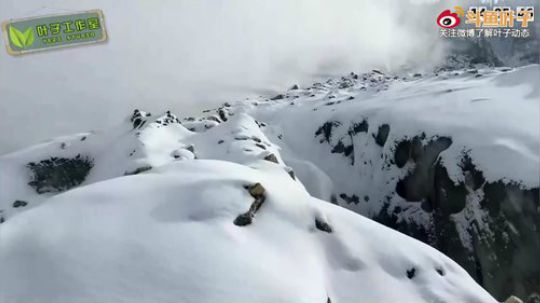 3.21 兄弟们，今天太忙，随缘开播 2019-03-22 03点场