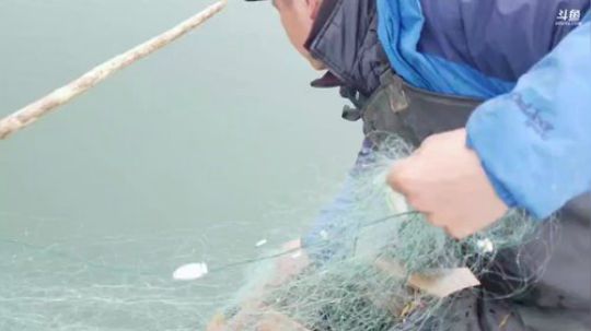 水库收鱼网了。 2019-03-23 10点场