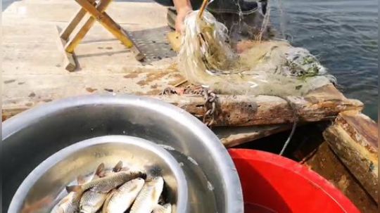 龙马精神之神笔马龙发布了一个斗鱼视频2019-03-23