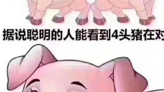 随便玩玩！