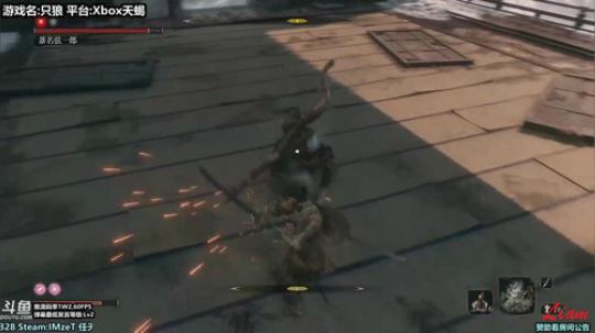 Liam:【只狼】弦一郎二人转打法