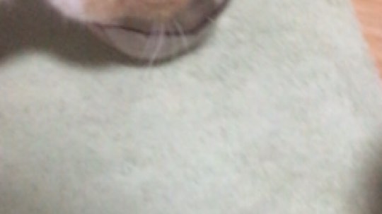 晚安?深夜放毒上集(≧▽≦)