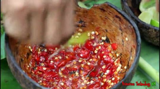 [荒野戏精] 油煎大虾太香了叭！小马总又来抢食，呜呜哥追着打