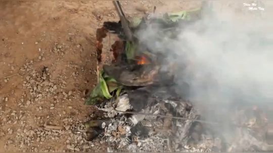 【水上人家】- 越南西部美食渔家人系列 - 香蕉叶烤鱼和鲶鱼