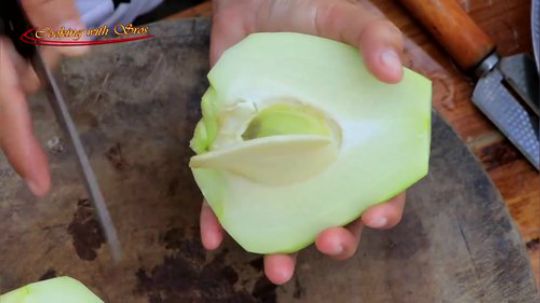 【野炊姐妹】~小姐姐你和窝瓜有咩？~可怜的窝瓜~