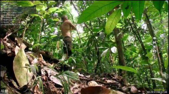 户外遛狗王飞哥发布了一个斗鱼视频2019-03-23