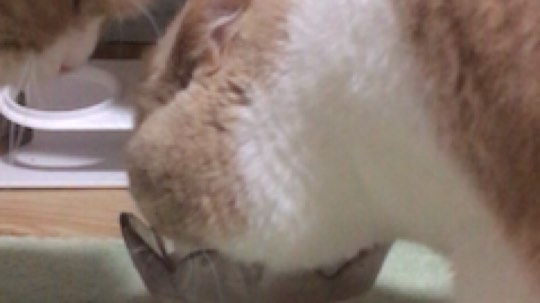 早安～记得吃早饭噢o(*////▽////*)q
