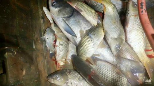 渔民的寂莫！谁人懂！ 2019-03-23 21点场