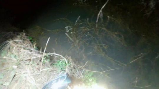 捡龙虾黄鳝。 2019-03-24 19点场