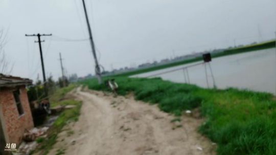 收集河鲜搞大餐 2019-03-21 14点场