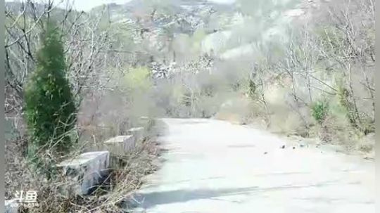 怪谈：讲述民间奇闻异事 2019-03-23 14点场