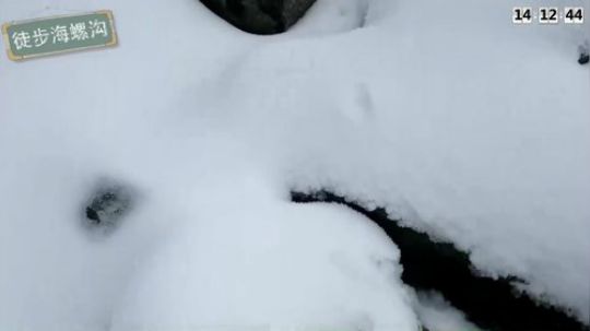 节目结束，谢谢大家观看！ 2019-03-24 20点场