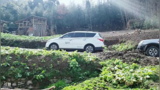 深山大咖2岁啦(≧ω≦)/ 2019-03-24 10点场