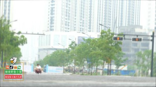 丿Good丶发布了一个斗鱼视频2019-03-26