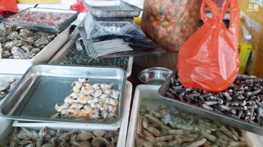 西北老狼哥哥发布了一个斗鱼视频2019-03-26