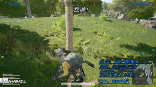 恭喜PDD入驻斗鱼首秀 2019-03-26 04点场