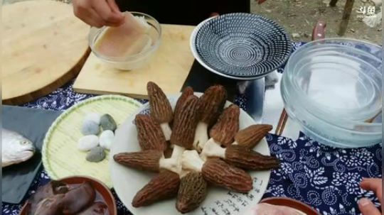 和姑姑上山做饭(≧ω≦)/ 2019-03-20 15点场