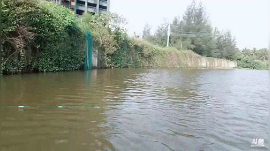 闹闹可遇不可求发布了一个斗鱼视频2019-03-27