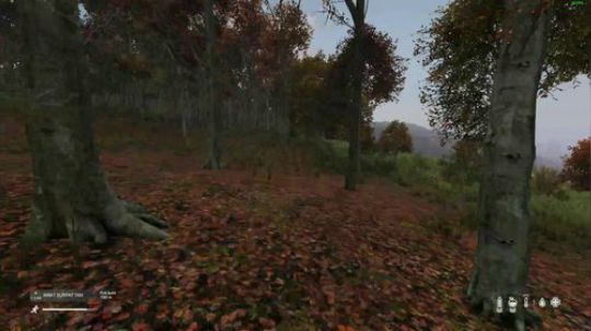 dayz僵尸末日 840351 2019-03-26 23点场