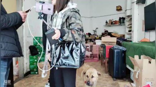 和姑姑上山做饭(≧ω≦)/ 2019-03-20 12点场