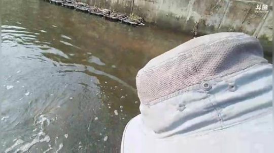 闹闹可遇不可求发布了一个斗鱼视频2019-03-27
