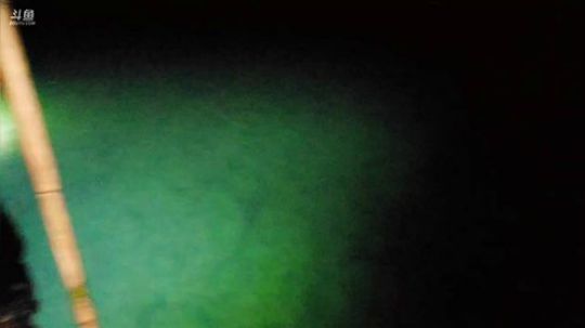 水库不弄200斤鱼货不回家。 2019-03-27 21点场