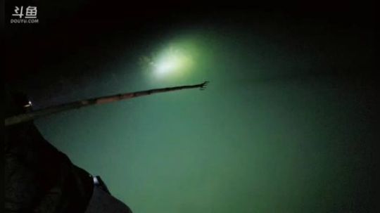 水库不弄200斤鱼货不回家。 2019-03-28 00点场