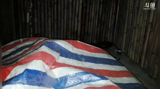 水库不弄200斤鱼货不回家。 2019-03-28 05点场