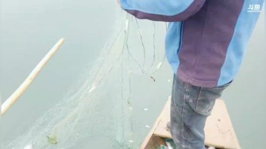 水库不弄200斤鱼货不回家。 2019-03-28 10点场