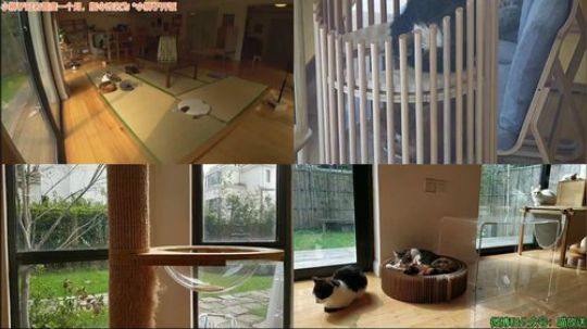 HHHISHHH发布了一个斗鱼视频2019-03-28