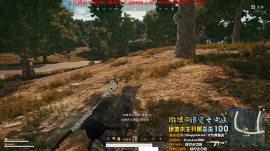 【错觉老中医】双排11杀